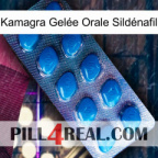 Kamagra Gelée Orale Sildénafil viagra1